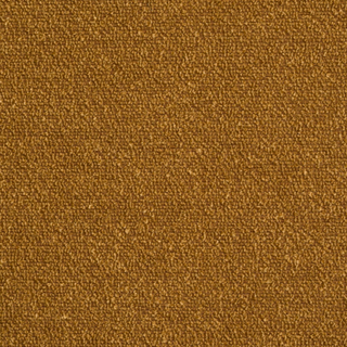 Fontaine Mustard Boucle