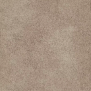 Fabric Sample - Eastwood Pumice