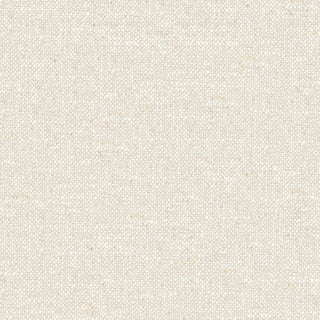 Fabric Sample - Delta Alpine Ash