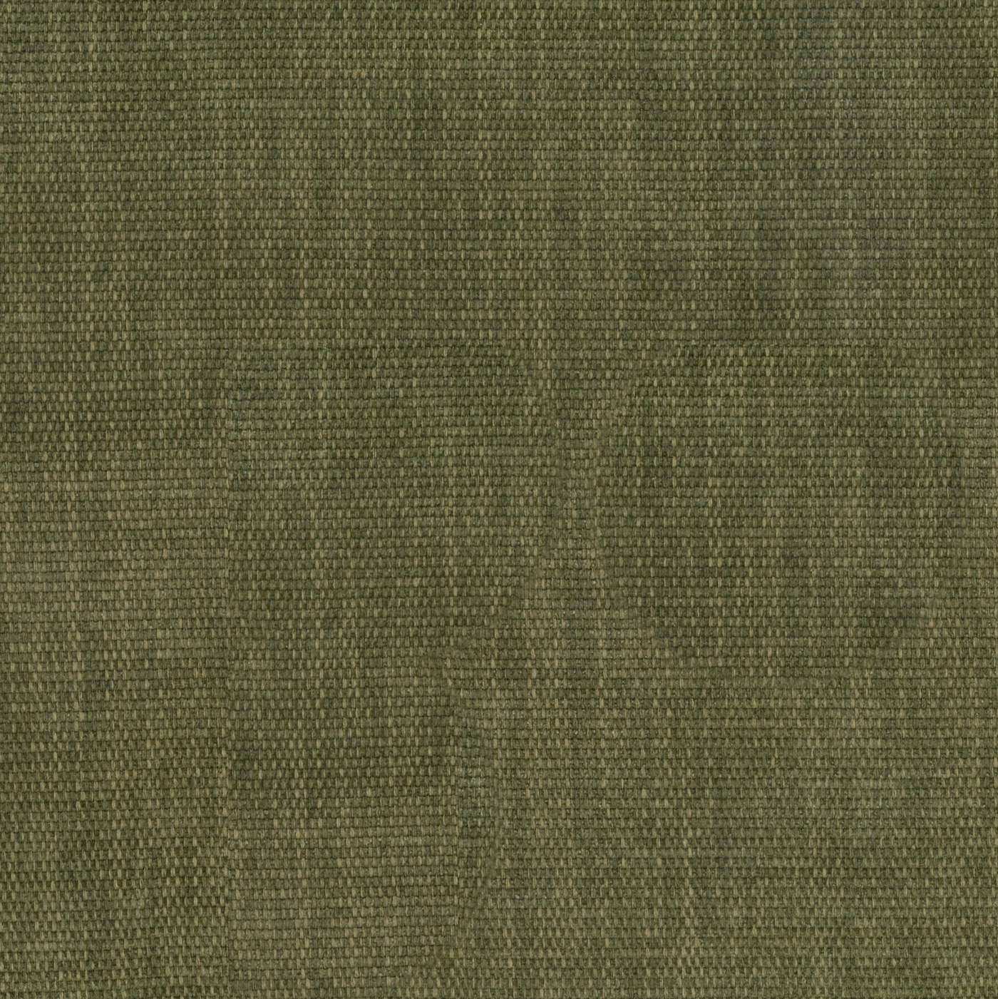 Fabric Sample - Copeland Olive