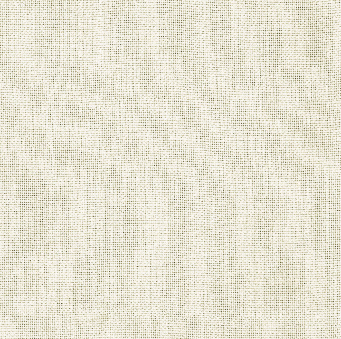 Fabric Sample - Eternal Ivory