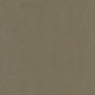 Fabric Sample - Marlo Husk