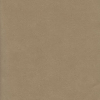 Fabric Sample - Marlo Oak