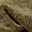 Sable Forest